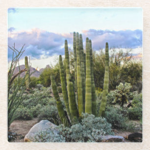 Posavasos De Vidrio Scottsdale Succulent Sunset