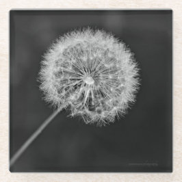 Posavasos De Vidrio Se fue a la semilla