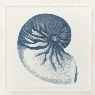 Posavasos De Vidrio Seashell del ojo del tiburón del añil