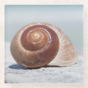 Posavasos De Vidrio Seashell el St Petersburg, la Florida