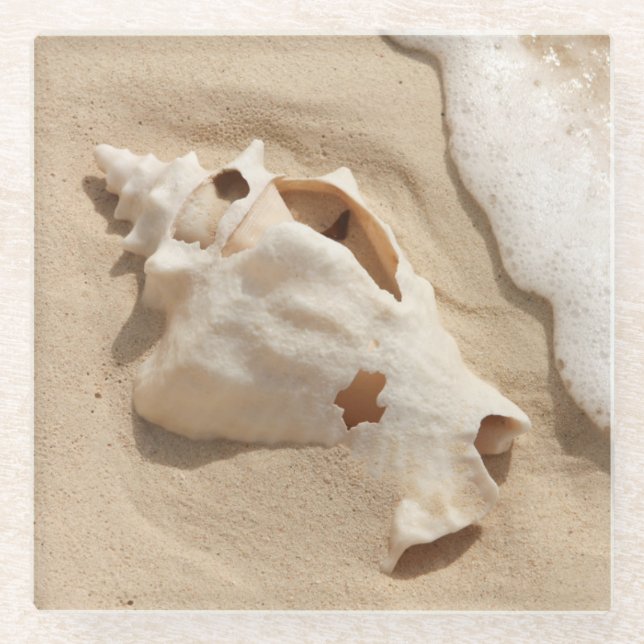 Posavasos De Vidrio Seashell en la isla caribeña magnífica del turco (Anverso)