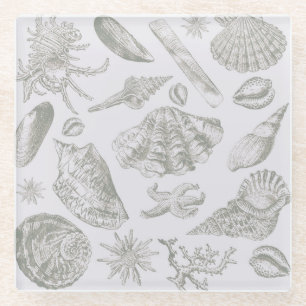 Posavasos De Vidrio Seashell Soft Antique Art Beach Shells