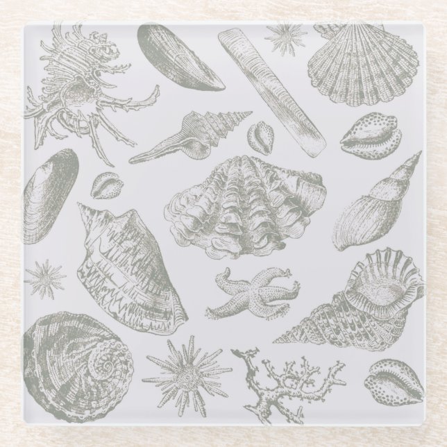Posavasos De Vidrio Seashell Soft Antique Art Beach Shells (Anverso)
