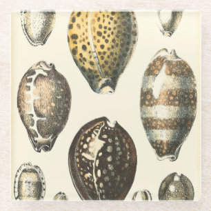 Posavasos De Vidrio Seashells únicamente formados