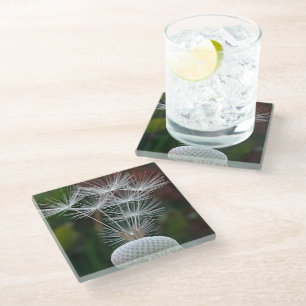 Posavasos De Vidrio Semillas delicadas de diente de león