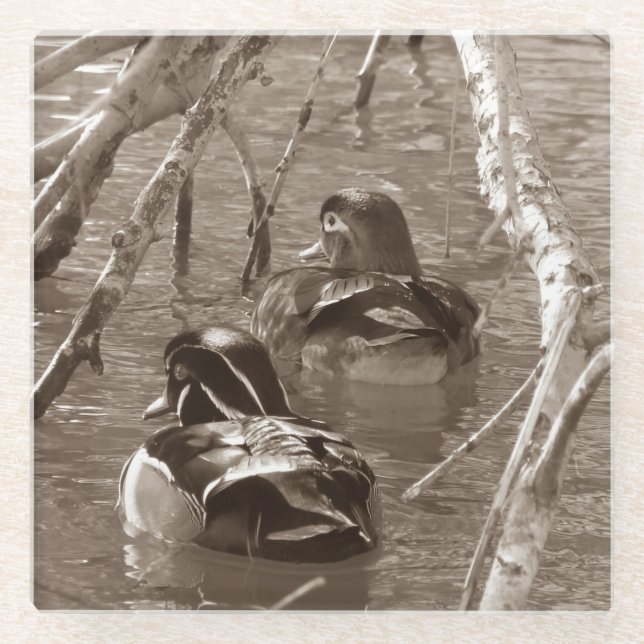 Posavasos De Vidrio Sepia Wood Duck Pair (Anverso)