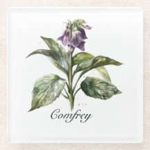 Serene Watercolor Comfrey, personalizado