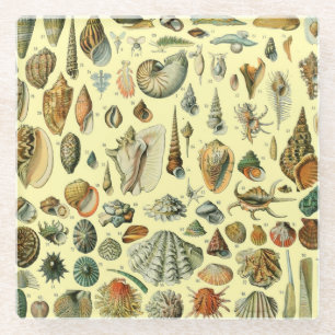 Posavasos De Vidrio Shell de conchas marinas Mollusk Clam Elegante Art