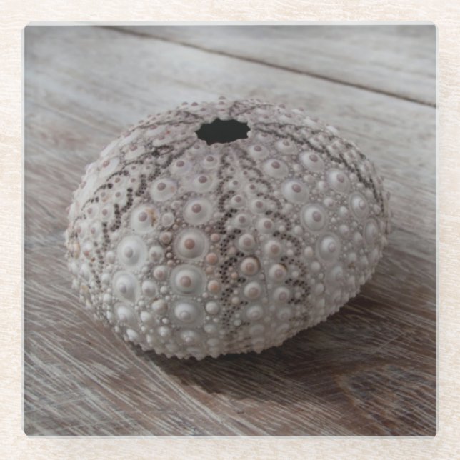 Posavasos De Vidrio Shell encima de una tabla de madera (Anverso)