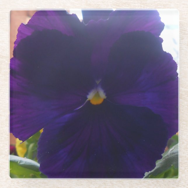 Posavasos De Vidrio Sibylla (Anverso)