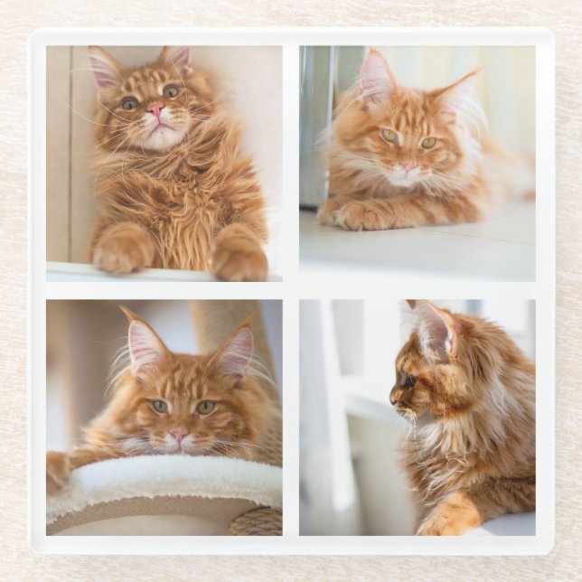 Posavasos De Vidrio Simple Grid Collage 4 Cuatro Fotos (Anverso)