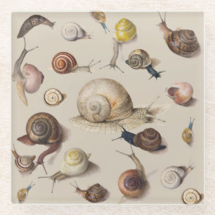 Posavasos De Vidrio Snail Slug Garden Mascota Gastropod Snails Botanic