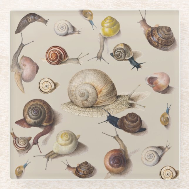 Posavasos De Vidrio Snail Slug Garden Mascota Gastropod Snails Botanic (Anverso)