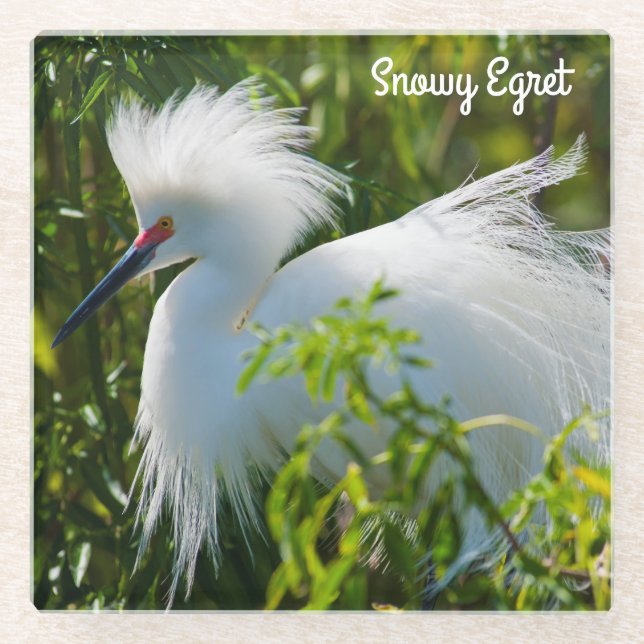 Posavasos De Vidrio Snowy Egret (Anverso)