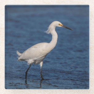 Posavasos De Vidrio Snowy Egret en North Beach
