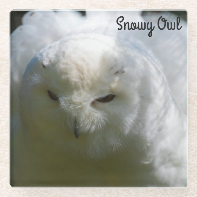 Posavasos De Vidrio Snowy Owl (Anverso)