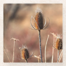 Posavasos De Vidrio Sólo silbato