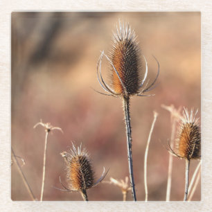Posavasos De Vidrio Sólo silbato