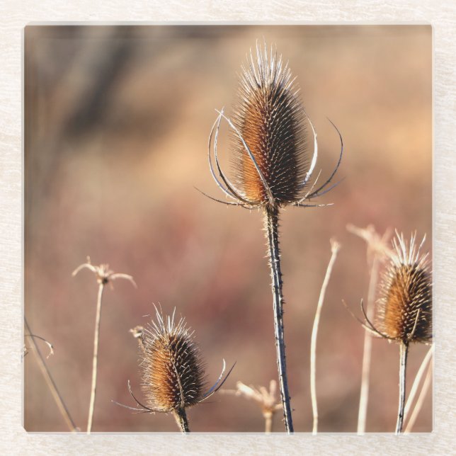 Posavasos De Vidrio Sólo silbato (Anverso)