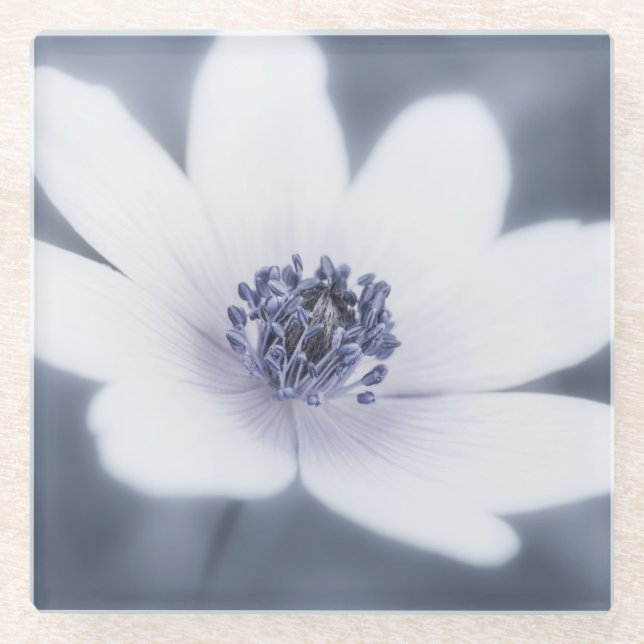 Posavasos De Vidrio Sólo un pequeño flor silvestre (Anverso)