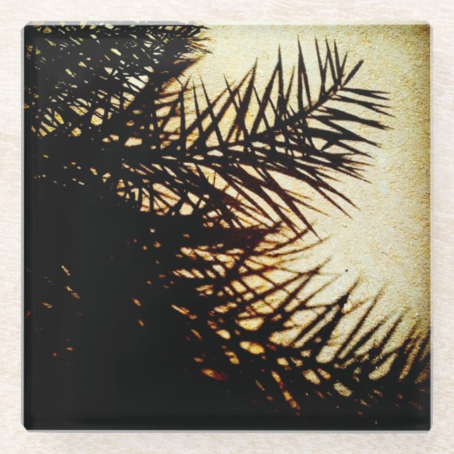 Posavasos De Vidrio sombras de árbol de fechas (Anverso)