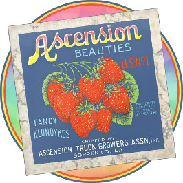 Posavasos De Vidrio Soporte de vidrio para vasos - Ascension Beauties 