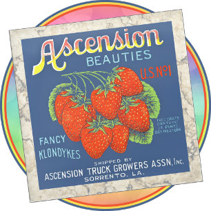 Posavasos De Vidrio Soporte de vidrio para vasos - Ascension Beauties