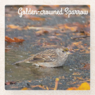 Posavasos De Vidrio Sparrow