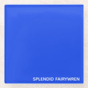 Posavasos De Vidrio Splendid Fairywren Blue Color Name