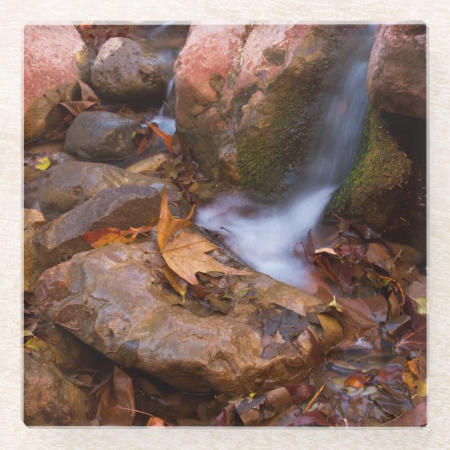 Posavasos De Vidrio Stream en Payson, Arizona (Anverso)