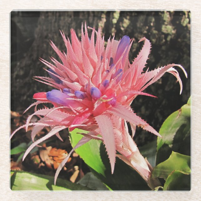 Posavasos De Vidrio Su Personalizado Glass Coaster (Anverso)