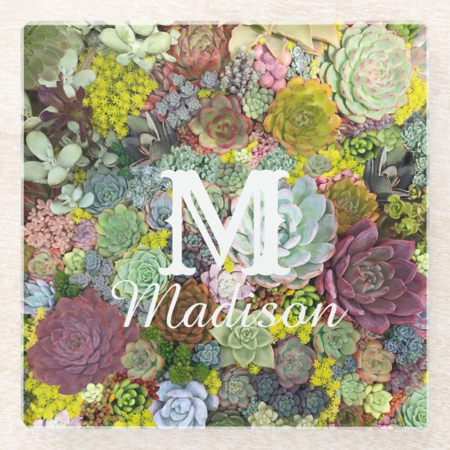 Posavasos De Vidrio Suculentos paisajes coloridos (Anverso)