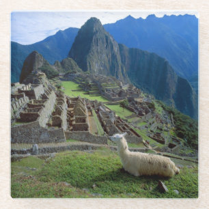 Posavasos De Vidrio Sudamérica, Perú. Una llama descansa en una colina