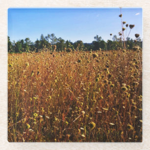 Posavasos De Vidrio Summer Meadow