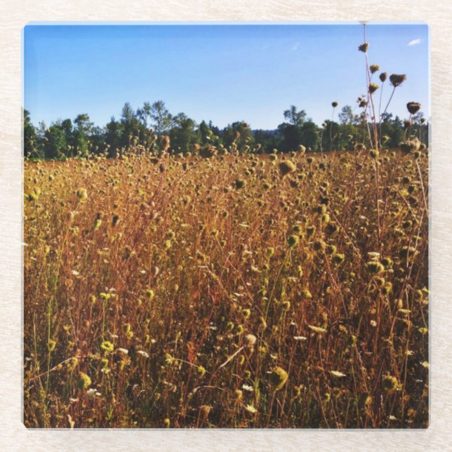 Posavasos De Vidrio Summer Meadow (Anverso)