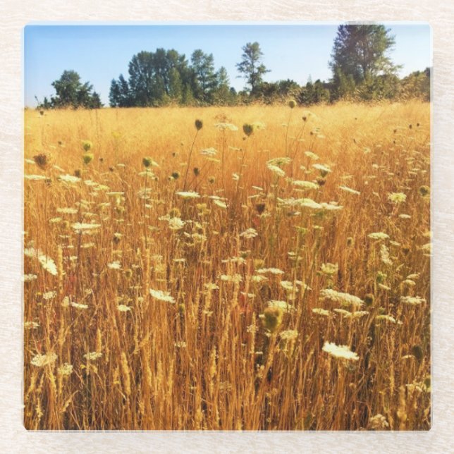 Posavasos De Vidrio Summer Meadow (Anverso)