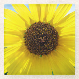 Posavasos De Vidrio Sunny Daze plastic drink coaster