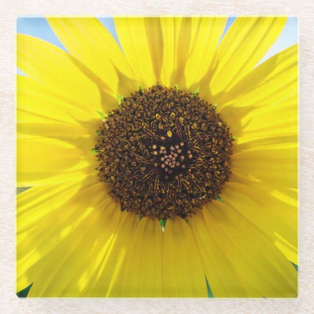 Posavasos De Vidrio Sunny Daze plastic drink coaster (Anverso)