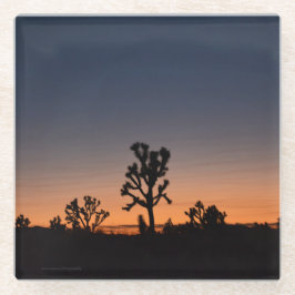 Posavasos De Vidrio Sunset Joshua Trees