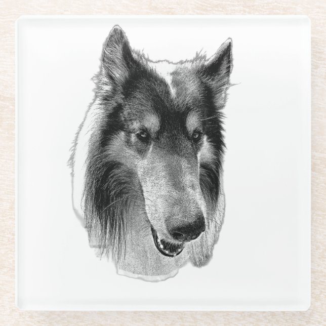Posavasos De Vidrio Superficie Estable – Collie (Anverso)