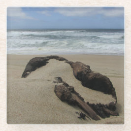 Posavasos De Vidrio Surf Sand and Driftwood West Coast Landscape Beach
