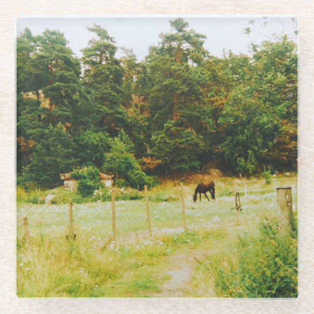 Posavasos De Vidrio Swedish Countryside (Anverso)