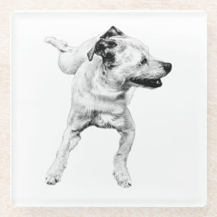 Posavasos De Vidrio Tabla de sidores, tabla dinámica alegre