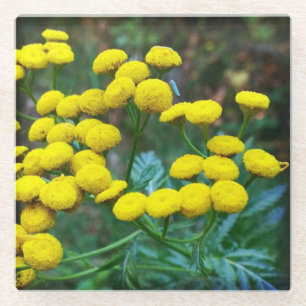 Posavasos De Vidrio Tansy Flowers