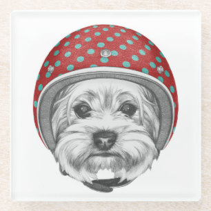 Posavasos De Vidrio Temerario de Yorkshire Terrier