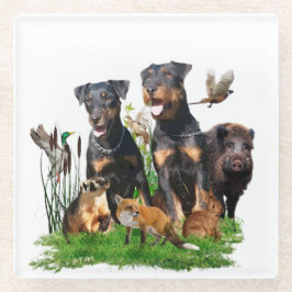 Posavasos De Vidrio Terrier de caza alemán (Jagdterrier)