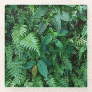 Posavasos De Vidrio Textura de follaje de hierba verde