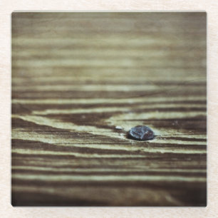 Posavasos De Vidrio Textura de grano de madera de Shirley Taylor