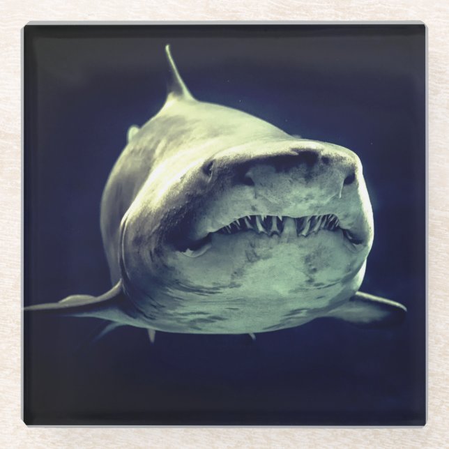 Posavasos De Vidrio Tiburón (Anverso)