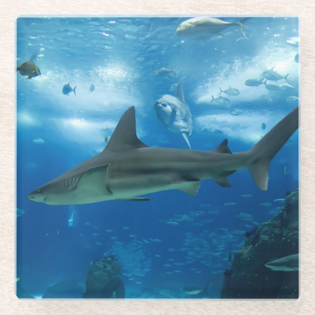 Posavasos De Vidrio Tiburones de montaña rusa de vidrio (Anverso)